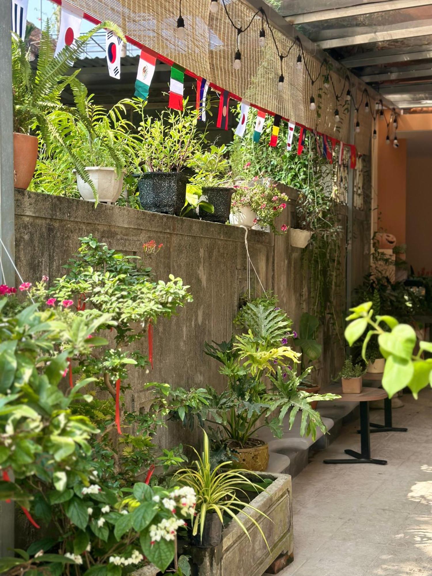 Chi'S Homestay & Coffee フエ エクステリア 写真